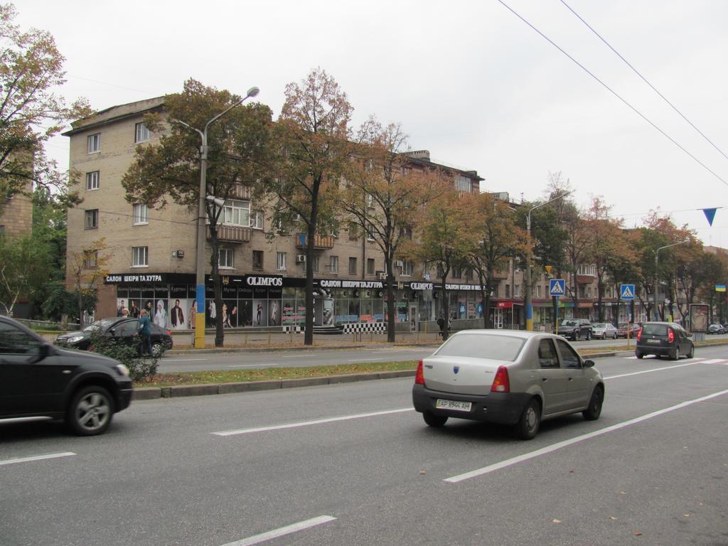 Apartment On Sobornyi Avenue 143 Near Intourist Hotel Zaporizhia エクステリア 写真
